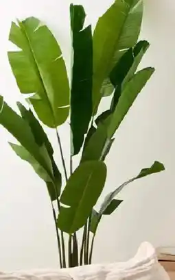 Kmart Tall Artificial Paradise Plant offer