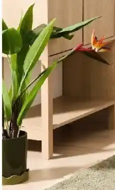 Kmart Artificial Bird of Paradise Plant offer