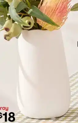 Kmart Artificial Natives in Ceramic Vase offer