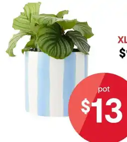 Kmart Blue Stripe Pot offer