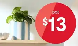 Kmart Blue Stripe Pot offer
