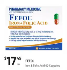 healthylife Iron & folic acid offer