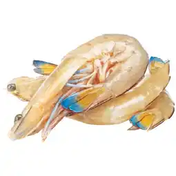 Woolworths Thawed Large Australian Green King Prawns offer