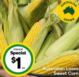 Woolworths Australian loose sweet corn offer