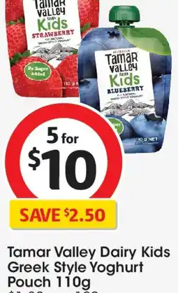 Coles Tamar Valley Kids Greek Yoghurt Pouch Blueberry offer