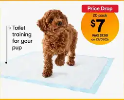 Kmart Puppy Training Pad offer