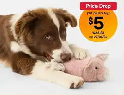 Kmart Pet Toy Super Soft Plush - Pig offer