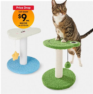 Kmart Cat Tower Novelty - Assorted offer