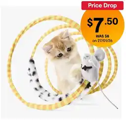 Kmart Cat Toy Spiral Tunnel offer