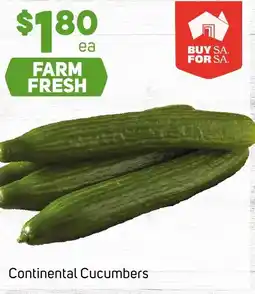 Foodland Continental Cucumbers offer