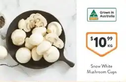 Foodworks Snow white mushroom cups offer