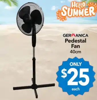 Pedestal fan