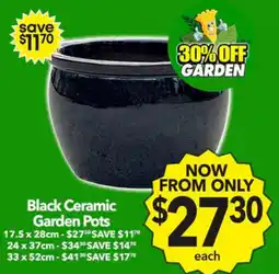 Cheap as Chips Black ceramic garden pots offer