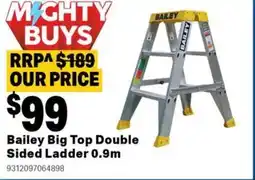 Mitre 10 Bailey big top double sided ladder offer