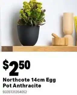 Mitre 10 Northcote egg pot anthracite offer