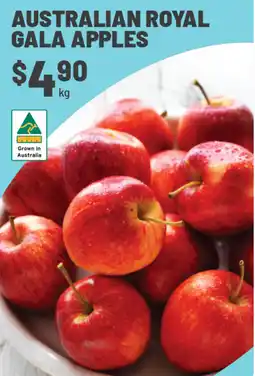IGA Australian royal gala apples offer