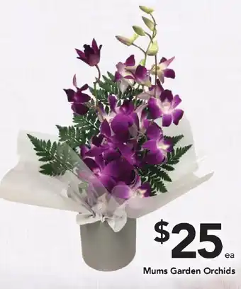 Drakes Mums Garden Orchids offer