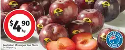 Coles Australian montague tree plums offer