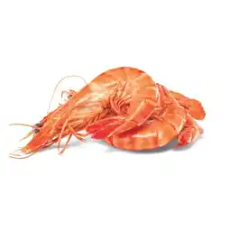 Woolworths Thawed Extra Large Australian Cooked Tiger Prawns‡ offer