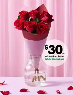 Woolworths 6 stem red roses offer