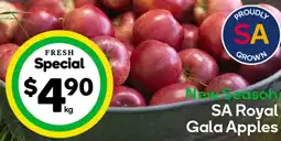 Woolworths Sa royal gala apples offer