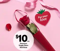 Woolworths Premium single stem red rose offer