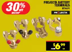 Autopro Projecta battery terminals offer
