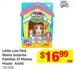 Mr Toys Little live pets mama surprise families s1 mamas house asstd 1181398 offer