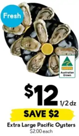 Drakes Extra Large Pacific Oysters offer