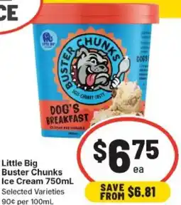 IGA Little Big Buster Chunks Ice Cream offer