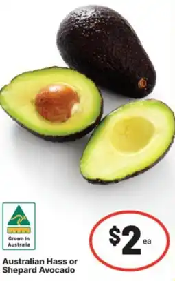 IGA Australian hass or shepard avocado offer