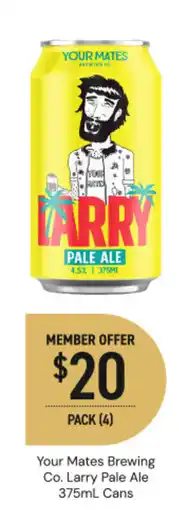 Dan Murphy's Your mates brewing co. larry pale ale cans offer