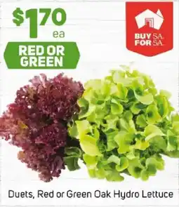 Foodland Duets, red or green oak hydro lettuce offer