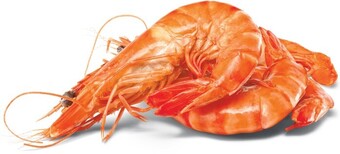 Woolworths Fresh Large Cooked Australian Tiger Prawns offer