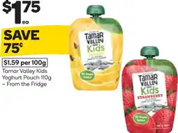 Woolworths Tamar valley kids yoghurt pouch offer