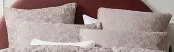 Spotlight Platinum Prairee European Pillowcase offer