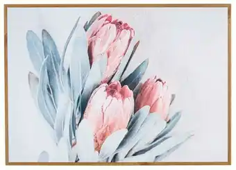 Spotlight 30% off Cooper & Co Protea Flowers Framed Wall Art 50 x 70cm offer