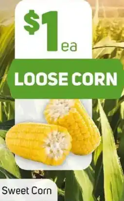 Foodland Sweet corn offer