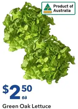 Ritchies Green oak lettuce offer