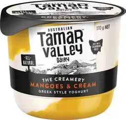 IGA Tamar Valley Greek Style Yoghurt Selected Varieties offer