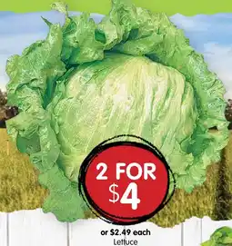 Spudshed Lettuce offer