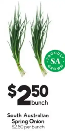 Drakes Spring Onion offer