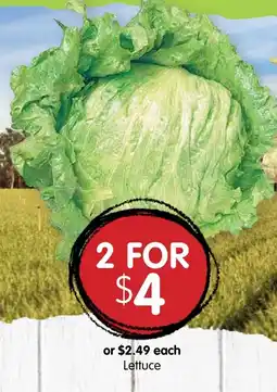 Spudshed Lettuce offer