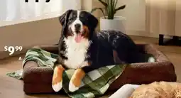 ALDI Pet blanket offer