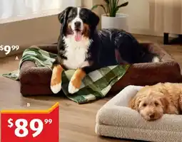 ALDI Xl memory foam bed offer