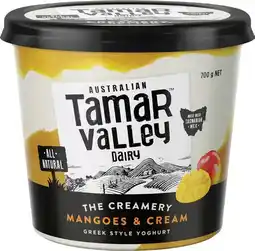IGA Tamar Valley Greek Style Yoghurt Selected Varieties offer
