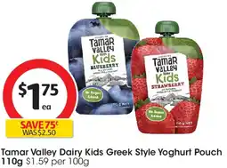 Coles Tamar valley dairy kids greek style yoghurt pouch offer
