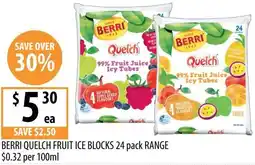 Supabarn Berri quelch fruit ice blocks offer