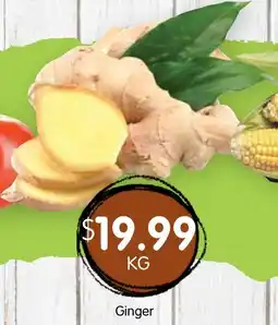 Spudshed Ginger offer