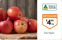 Foodworks Gala Apples offer